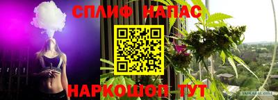 шишки Ливны