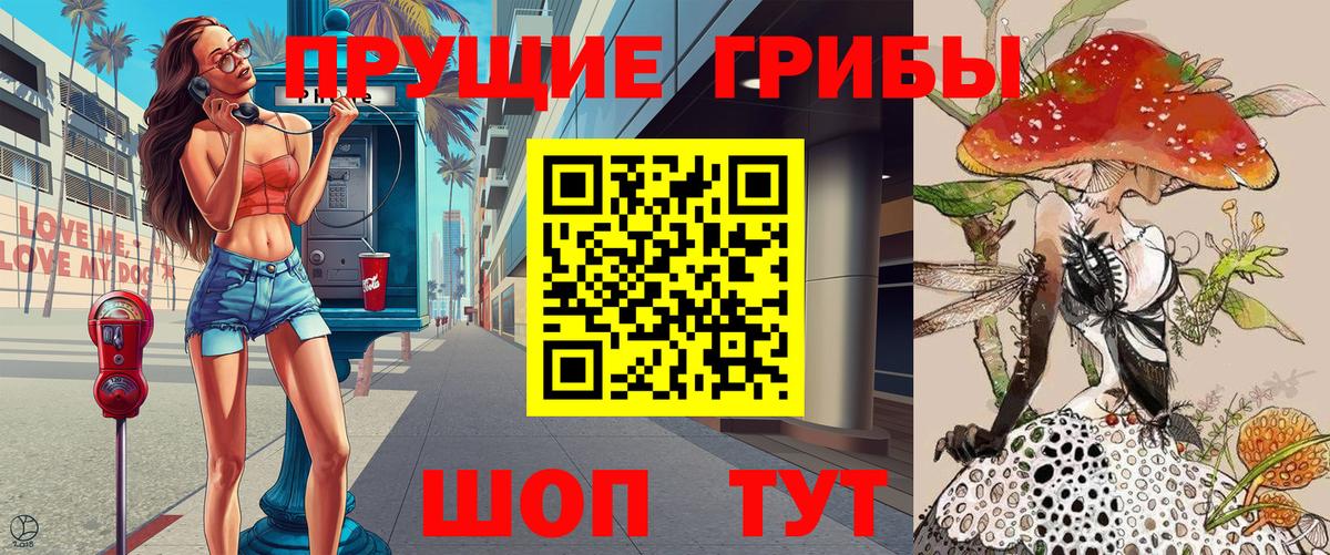 Сосновоборск  Псилоцибиновые грибы мухоморы  Вход с VPN  Псилоцибиновые грибы Psilocybine cubensis 