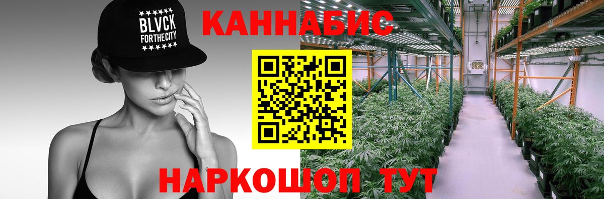 Каннабис Ganja  Каннабис план  Сосновоборск  Вход с VPN  Марихуана гибрид  Марихуана OG Kush 
